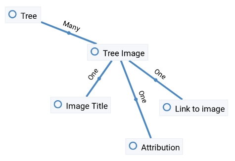 _images/data-model-tree-image.png